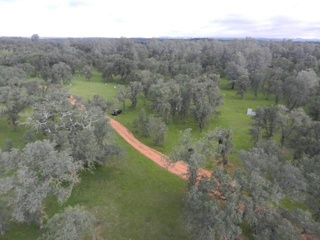 Gray oaks and green grass from tower top