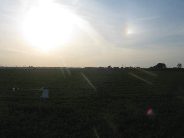 Sun dog over the alfalfa field