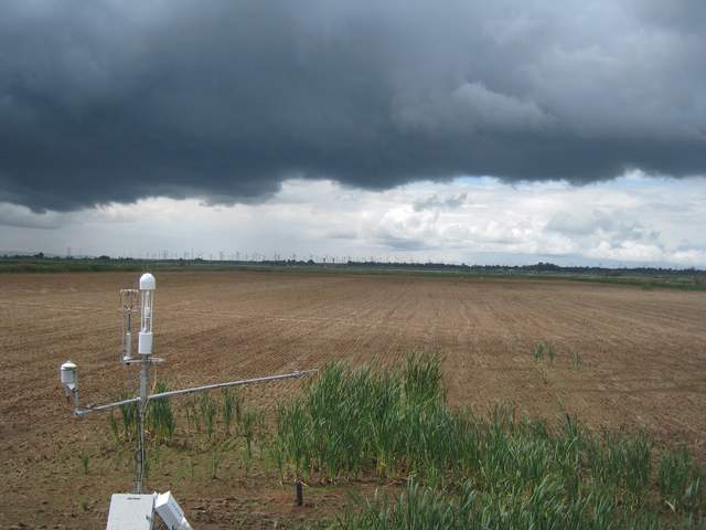 Dark clouds over eddy tower and rice field