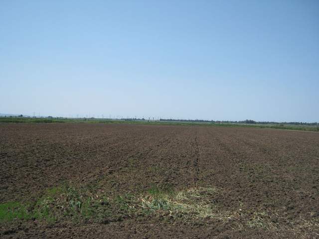 The rice field has been tilled