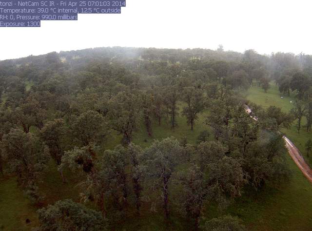 View from the tower on a rainy day