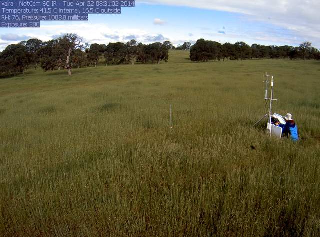 Joe working on the tower in tall grass