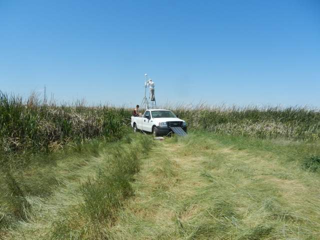 Portable tower veg site
