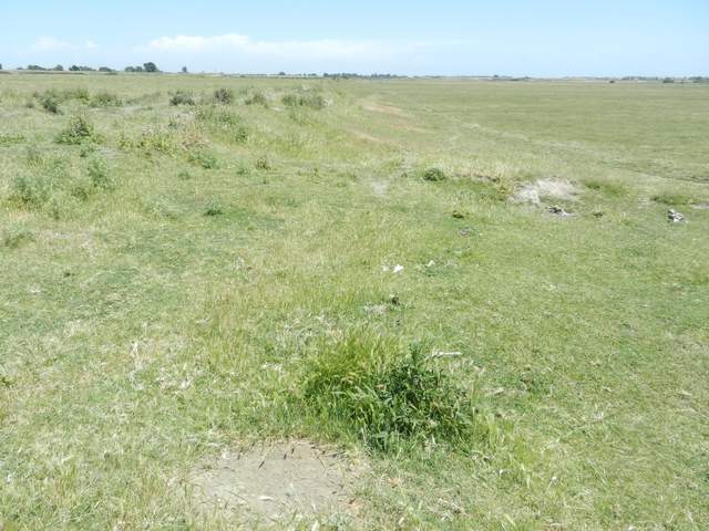 Elevation change in Twitchell pasture
