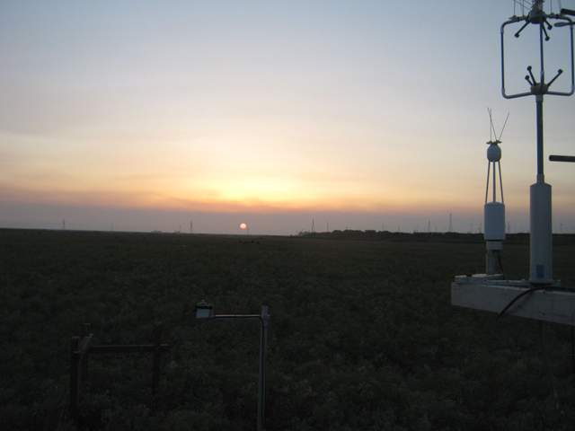 Nice sunset