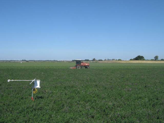 Tractor mowing the alfalfa