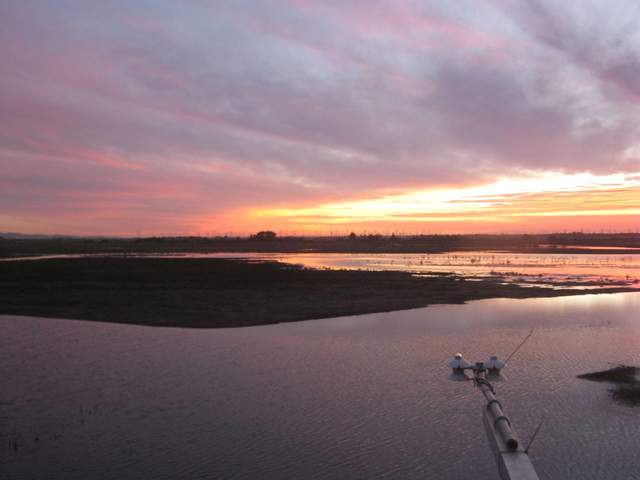 Nice sunset