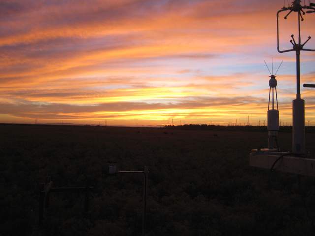 Nice sunset