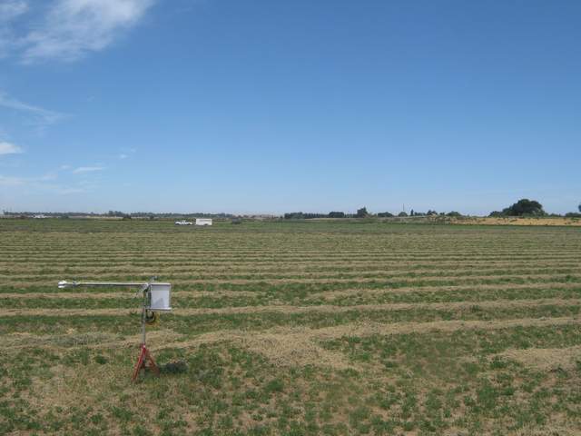 view of field site