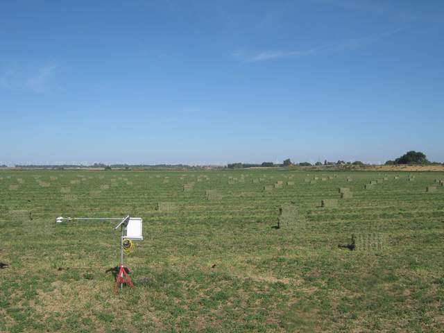 view of field site