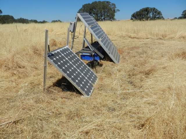 Dead grass cleared from around the solar panels