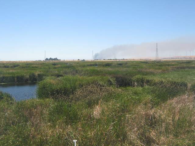 Fire to the west