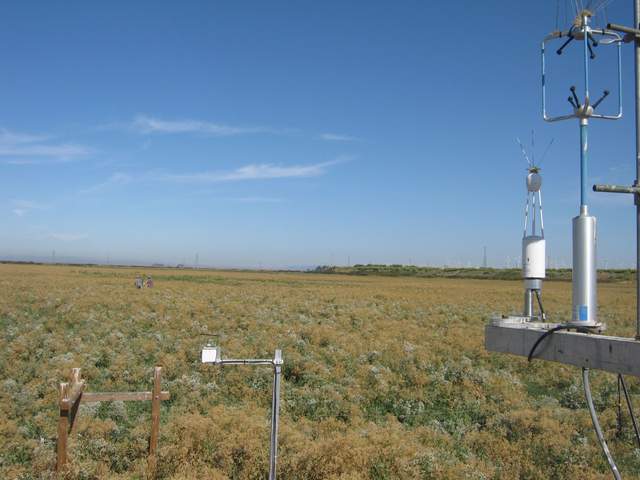 Fieldwork