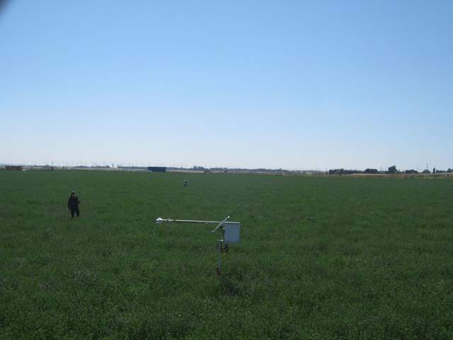 Fieldwork