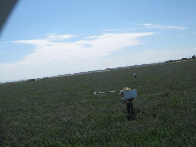 Cove on site