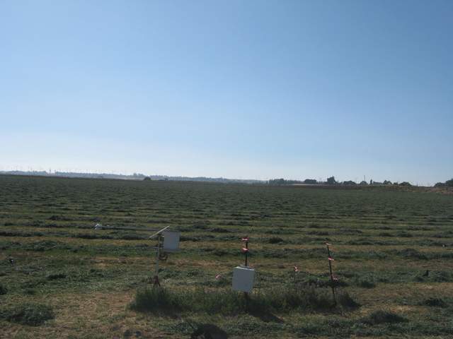 Mowed