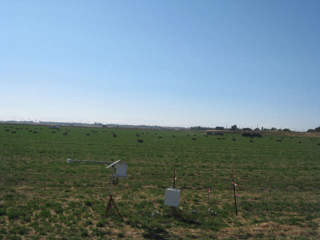 Picking up bales