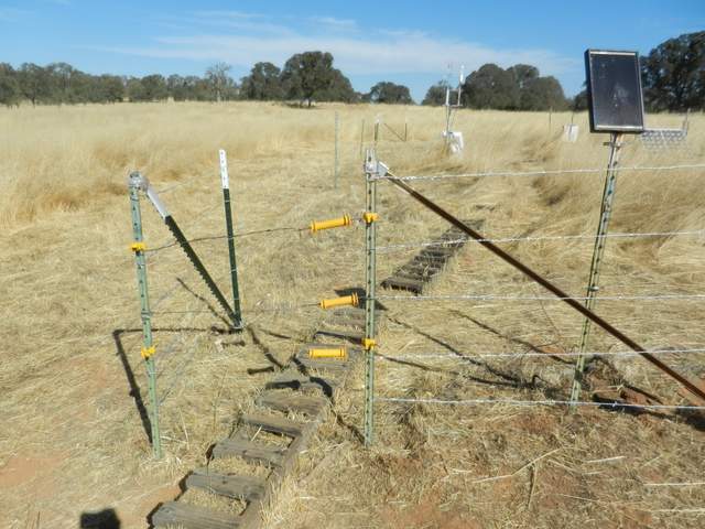 Dead grass cleared from cow fence