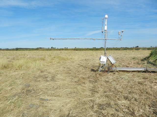 Eddy tower moved back into the harvested and chopped rice field