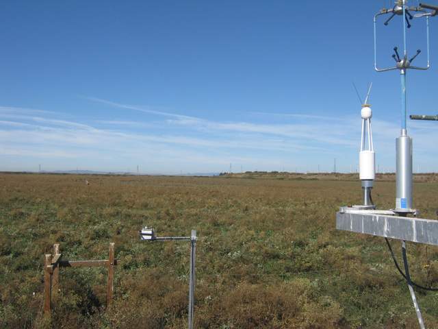 Someone in the field