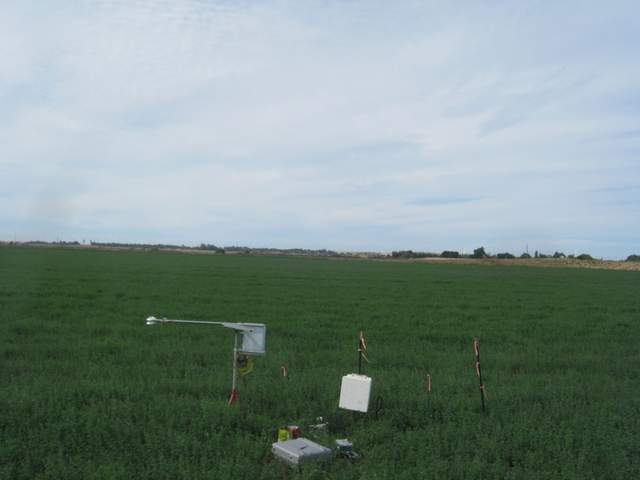 fieldwork