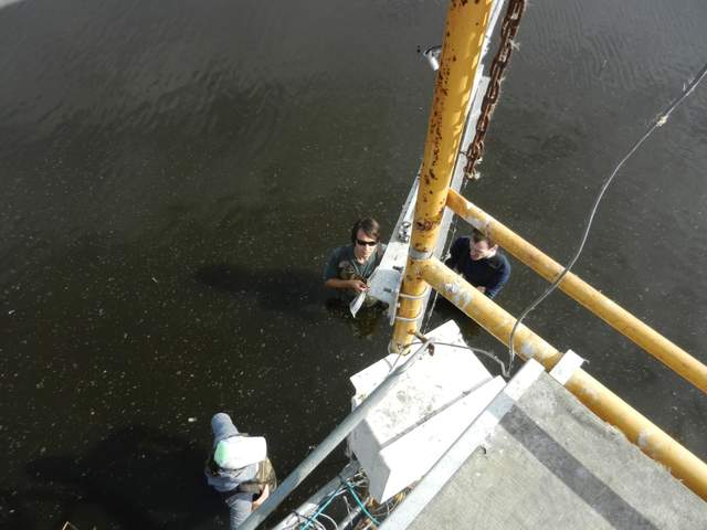 Sara, Pascal and Sam in the water at Mayberry