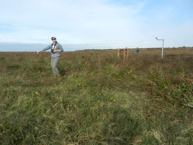 Sara doing spectral measurements at Sherman.