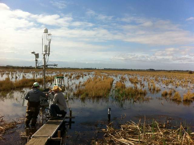 Sara and Cove working on rice field tower