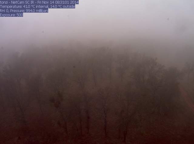 Fog