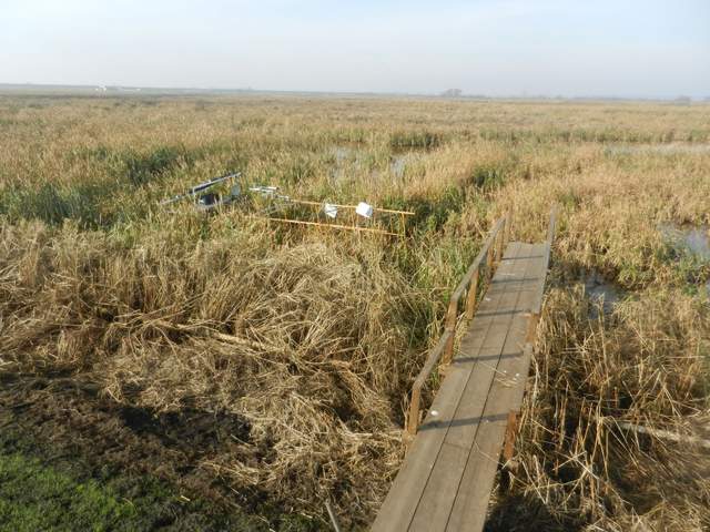 Tower fell over in the wind of 2014-12-30