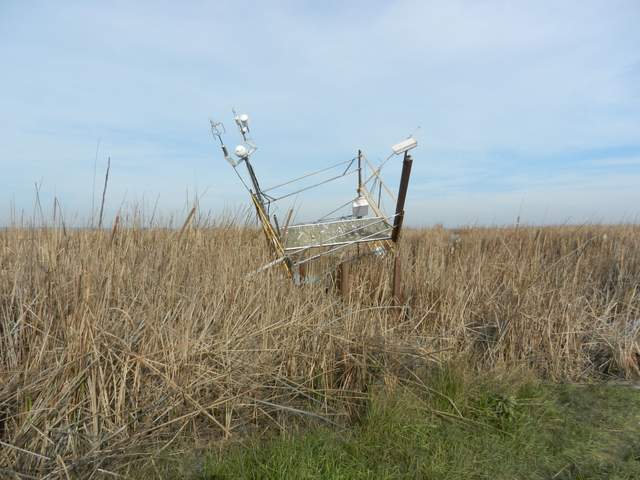 The Mayberry scaffolding was leaning at about a 45 degree angle to the south, probably blown by the winds on 2014-12-30. Narrowly saved by one of the cross braces caught on one of the boardwalk posts