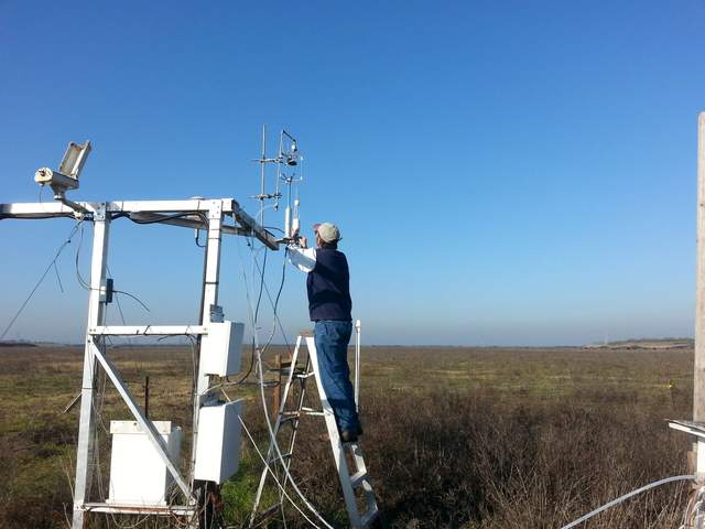 Dennis cleaning eddy sensors