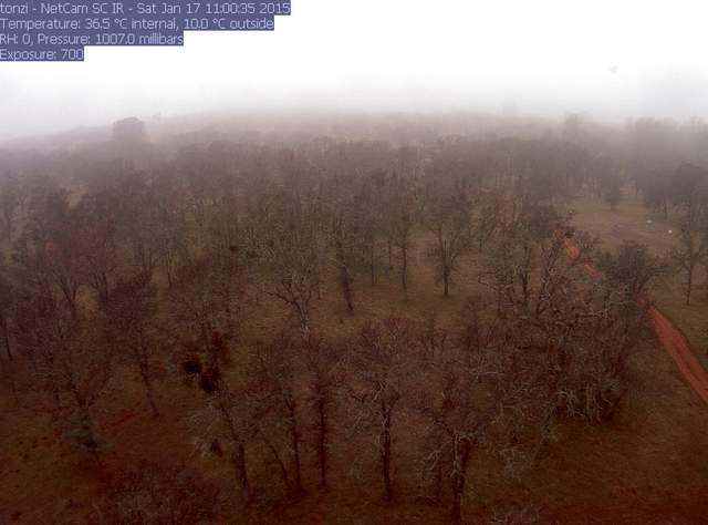 Fog