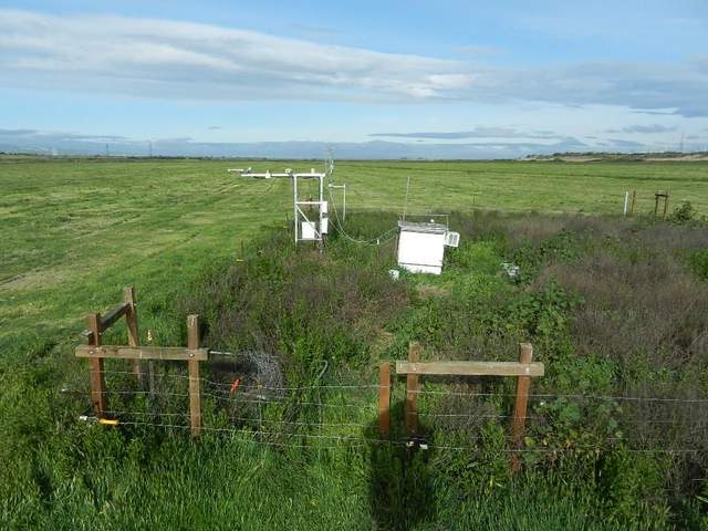 Field mowed in preparation for wetland construction