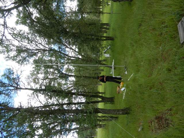 Ana working on under canopy wind profile in green woodland