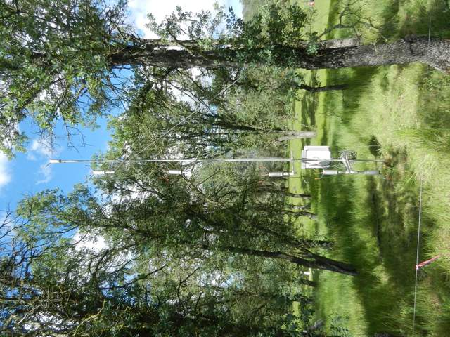 Six level wind speed profile within the canopy
