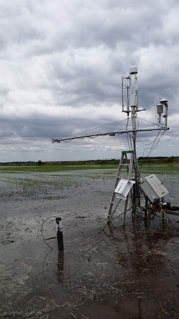 Eddy tower in the flooded rice field