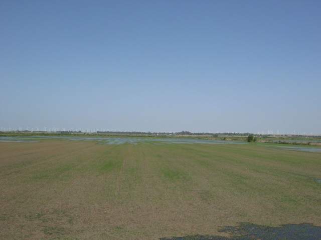 Flash flood