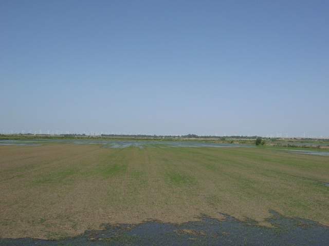 Flash flood