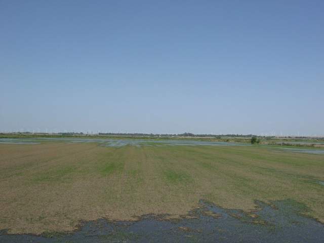 Flash flood