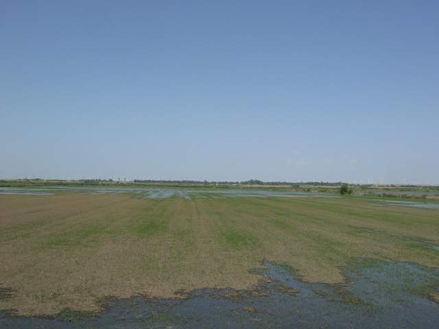 Flash flood
