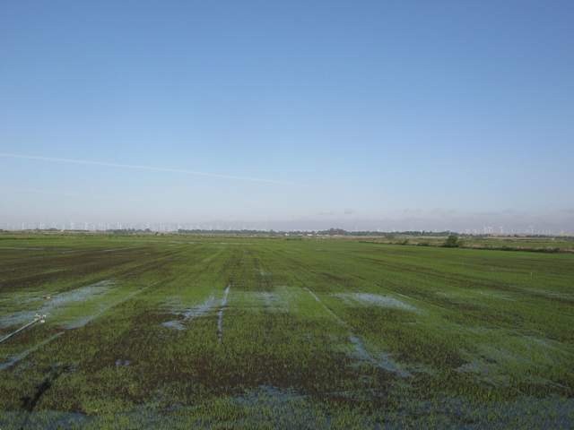 Draining after flash flood