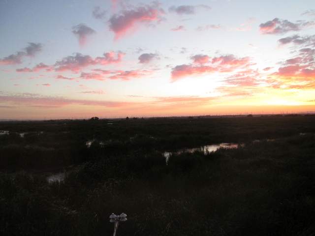 Nice sunset