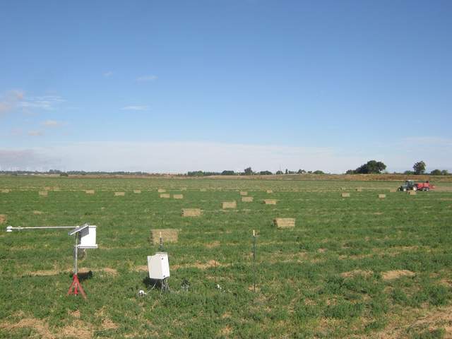 Making bales