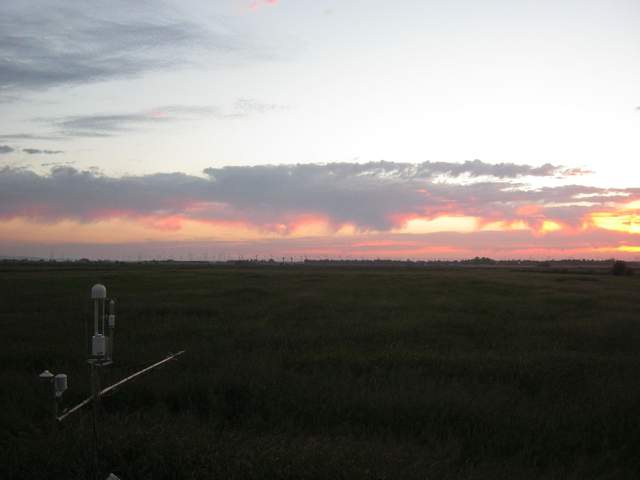 Nice sunset