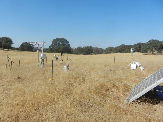 Dennis doing spectral measurements at Vaira site