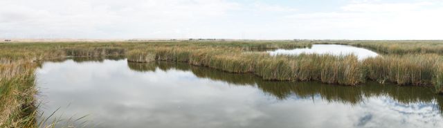 Overcast skies and calm waters