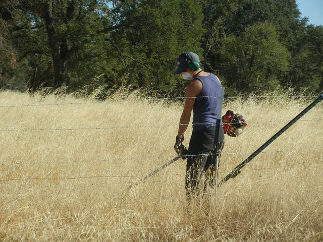 Ana weedwhacking outside of the fence