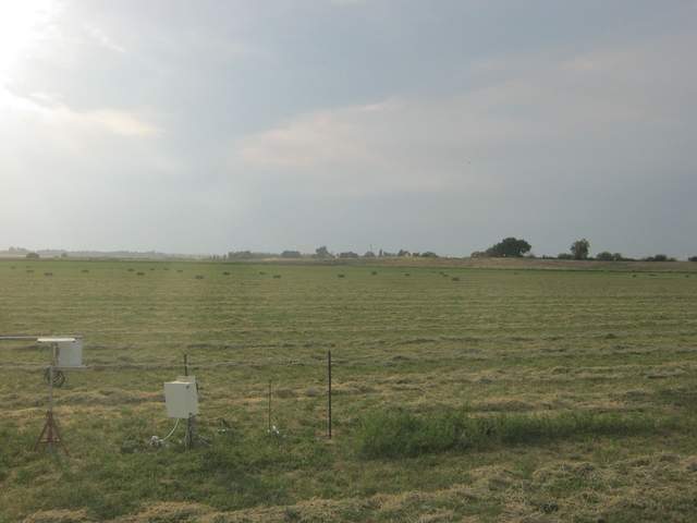 Bales