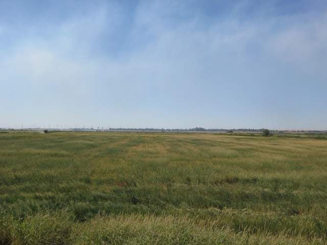 Harvest